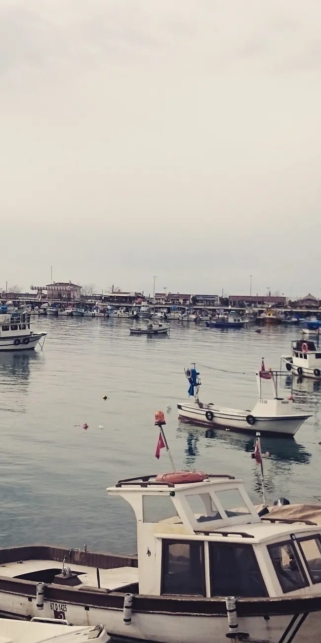 Ereğli limanında demirli balıkçı tekneleri