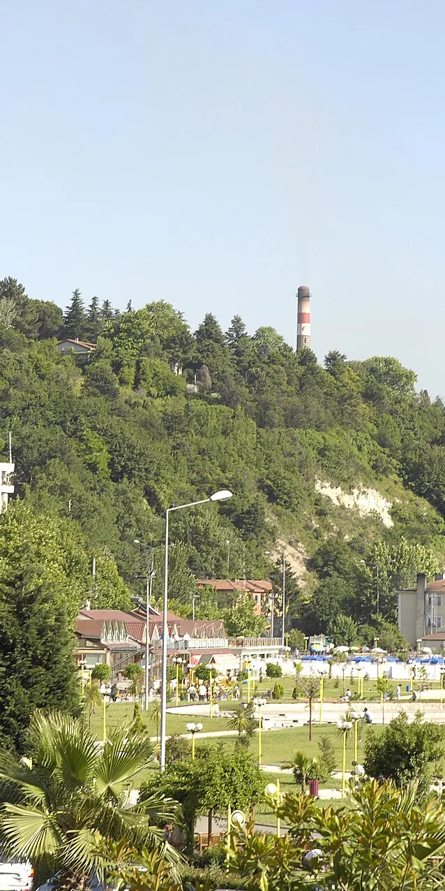 Palmiyeli sahil parkı ve yeşil yamaçlar