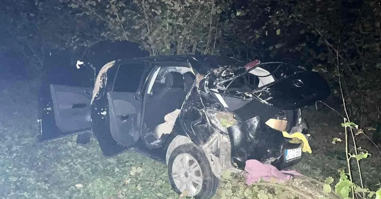 Ereğli Ormanlı yolunda otomobil fındık tarlasına uçtu: yaralılar hastanede